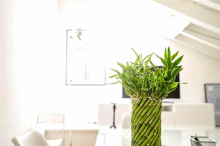 Interior Architectural Designs in Private Clinics.